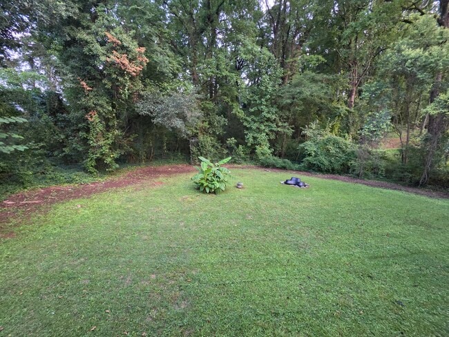Full back yard