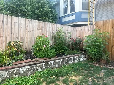 Back Yard - 844 Heberton St Townhome