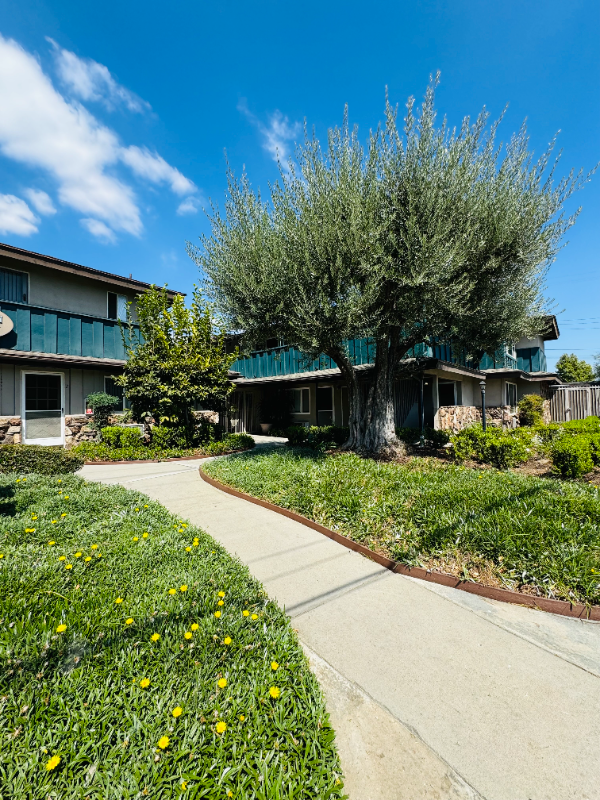 Building Photo - 8919 Longden Ave Rental