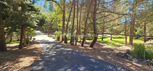 Building Photo - Charming 1-Bedroom Retreat in Desirable Ch... Rental