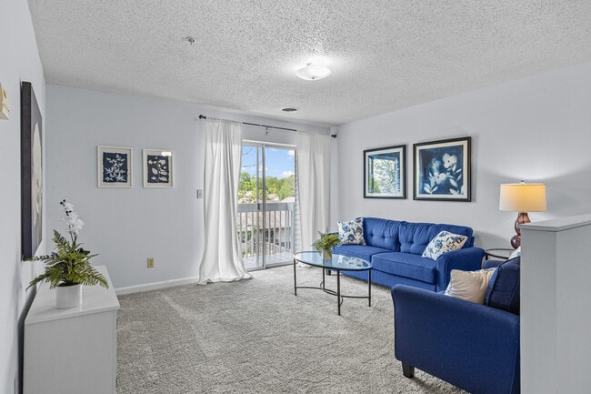 Meadow View Landing