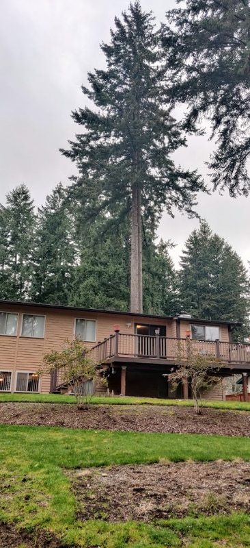 Photo - 4513 60th Ave W