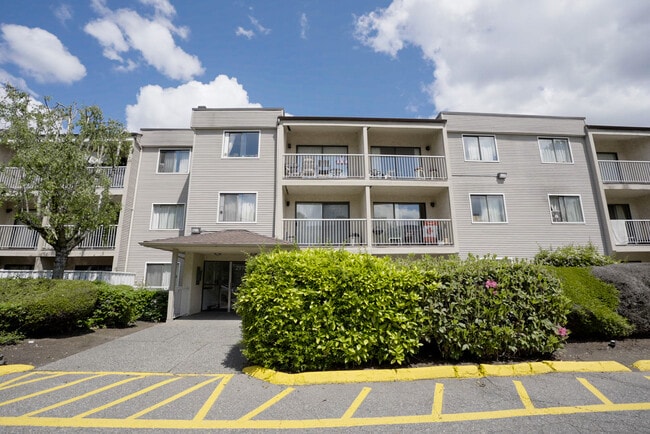 Photo - Mountain Ridge