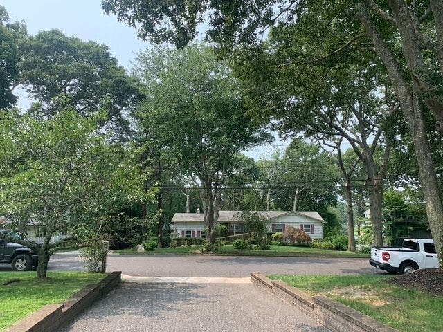 Building Photo - 10 Mill Pond Ln Unit Beautiful Sunny Walkout Basement apartment
