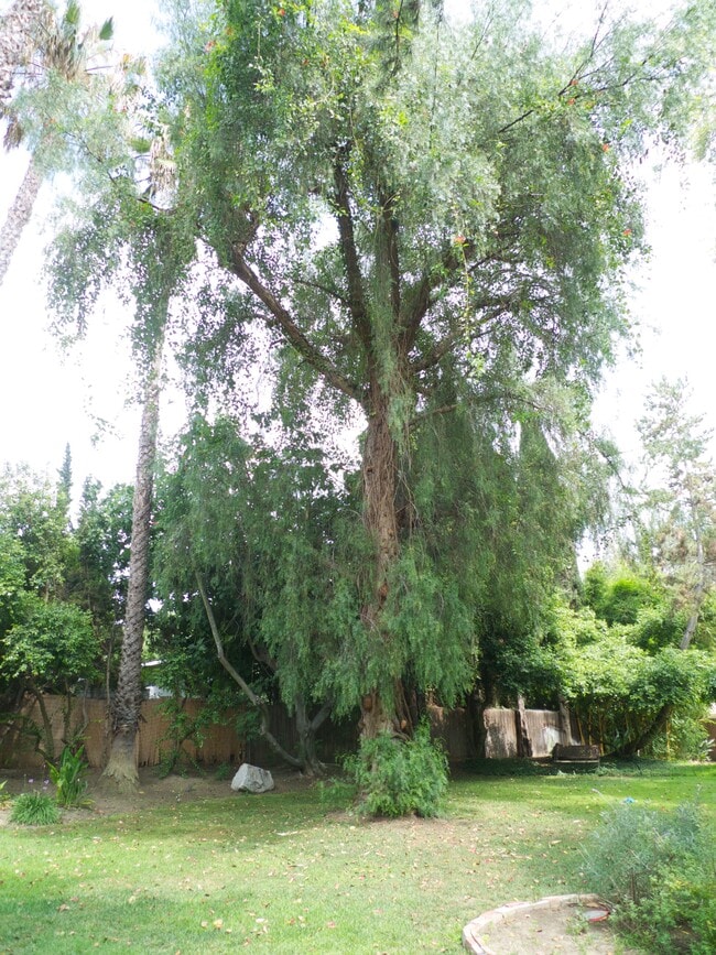 Photo - 2290 Canonita Dr