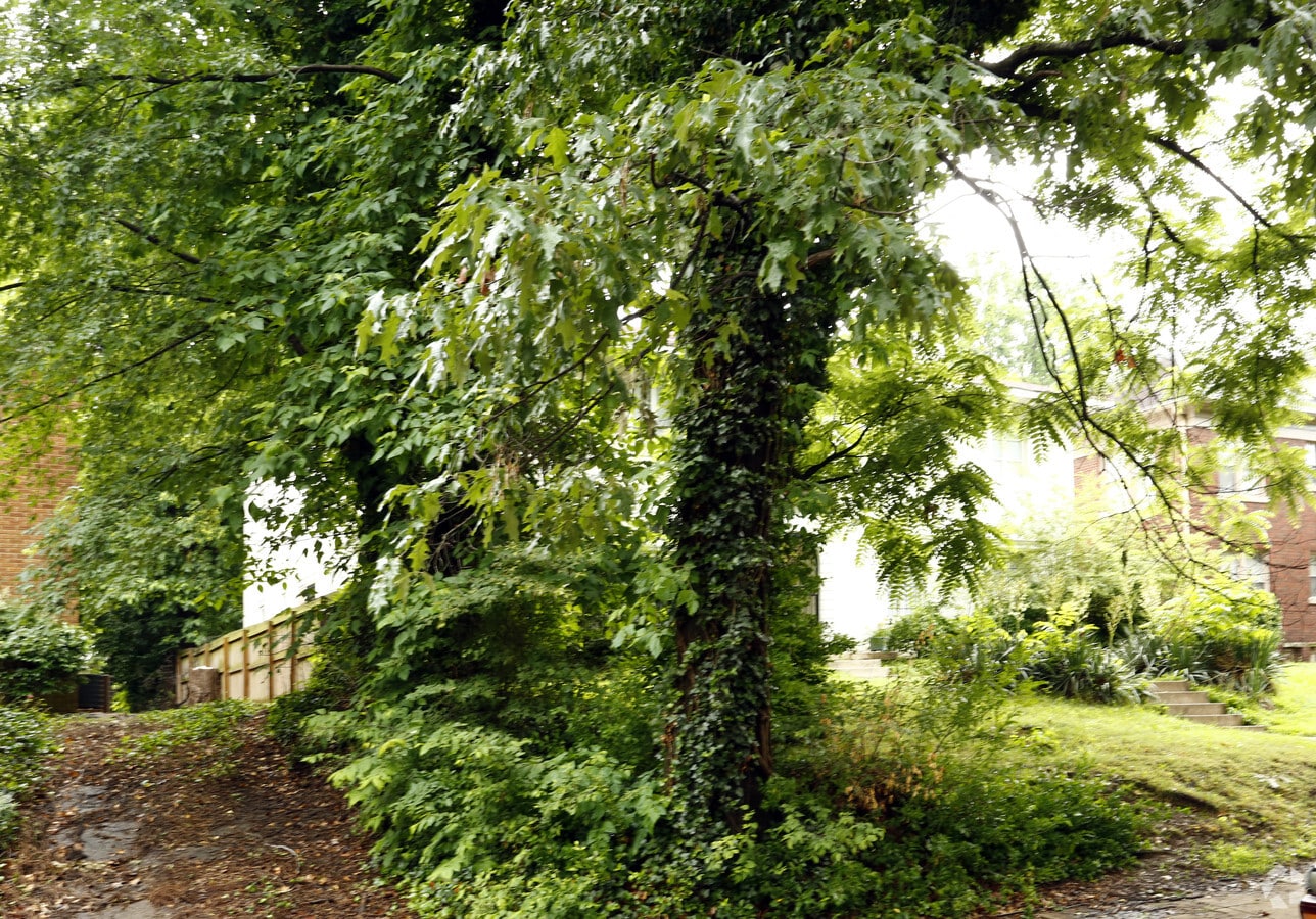 Photo - 148 Clark Pl