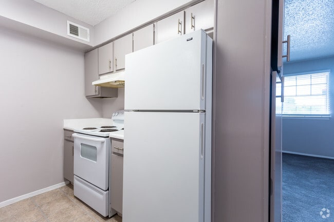 1 BR 1 BA 700 Sq Ft - Bison Ridge Apartments
