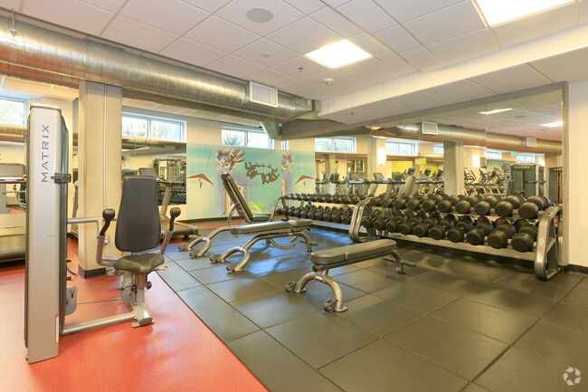 Photo - Rincon Green