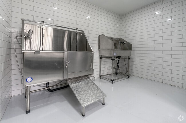 Spa para perros - Woodmeade