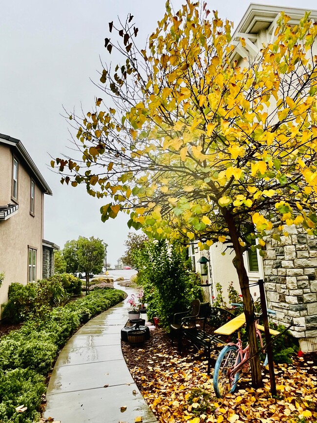 Photo - 2617 Alliston Loop