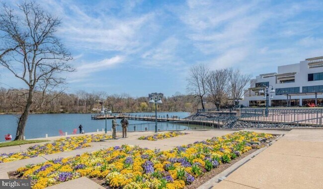 Photo - 10205 Wincopin Cir Unit 302