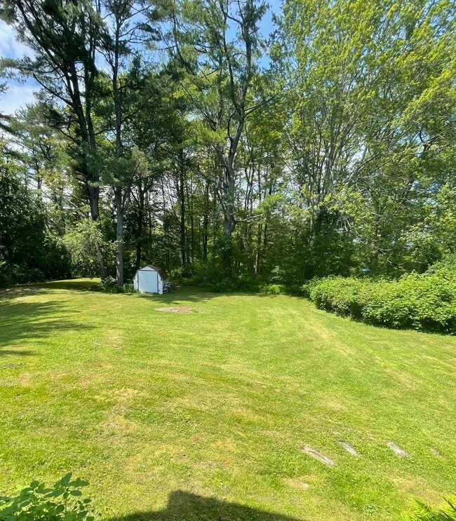 50 George Wright Rd