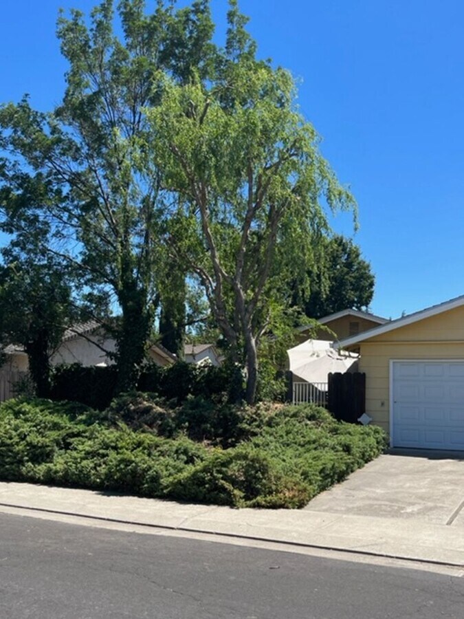 Photo - 4208 Round Valley Cir