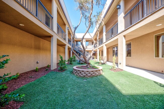 Linden Tree Apartments