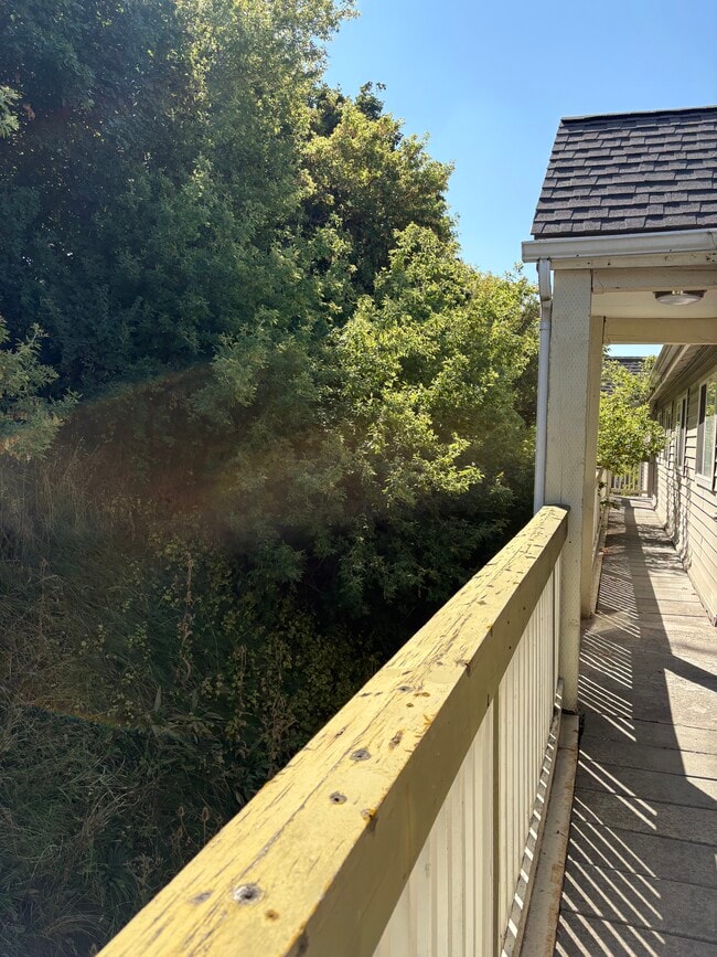 Photo - OUTLOOK APTS