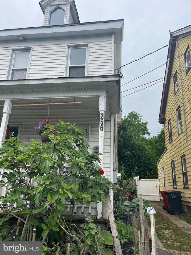Building Photo - 256 Walnut St Unit 256 Rental