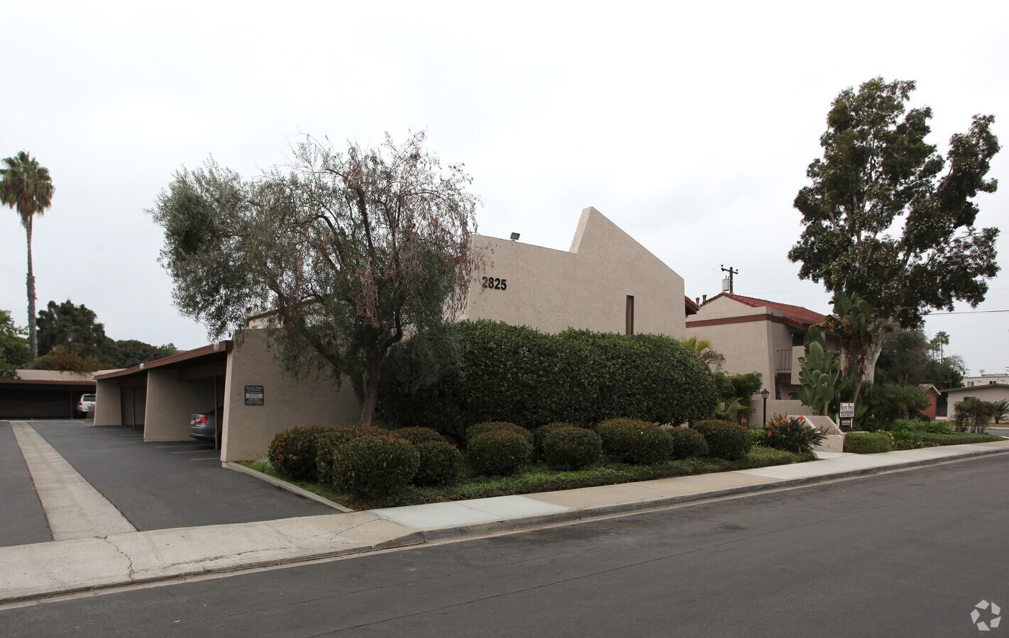 Pacific Pines Apartments For Rent In Carlsbad Ca Forrent Com