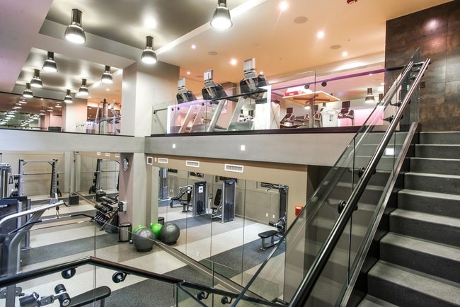 Two-story fitness center at Leo
