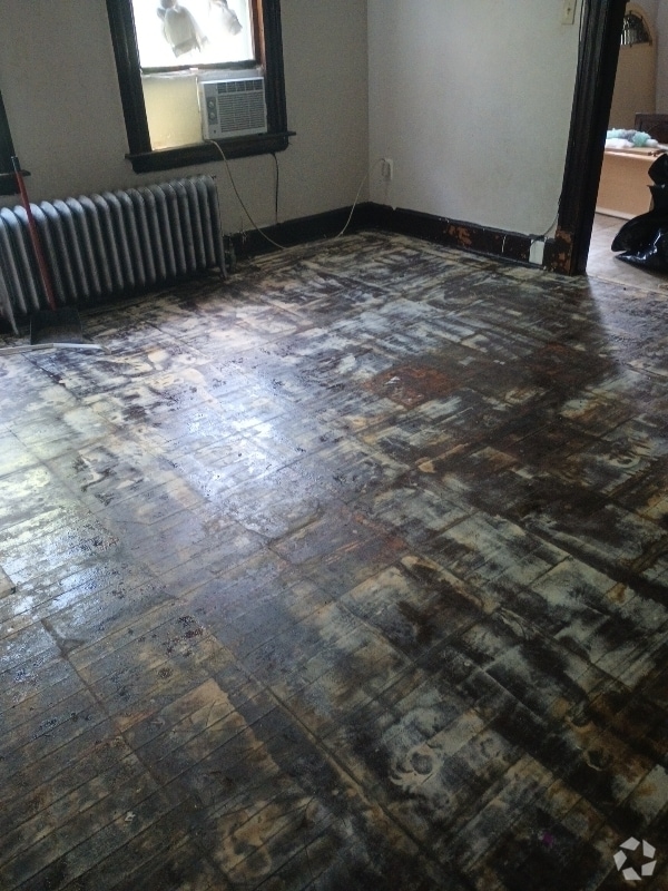 Building Photo - 33 Elmwood Ave Unit 3rd Fl Rental