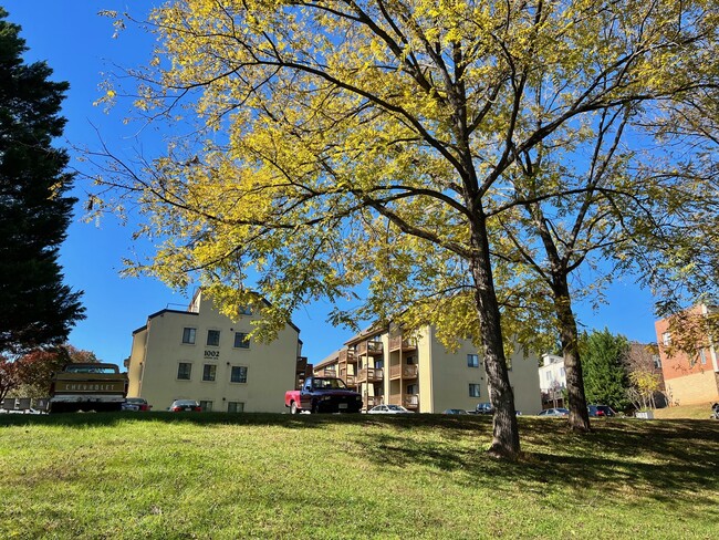 Photo - 1002 Linden Ave Townhome