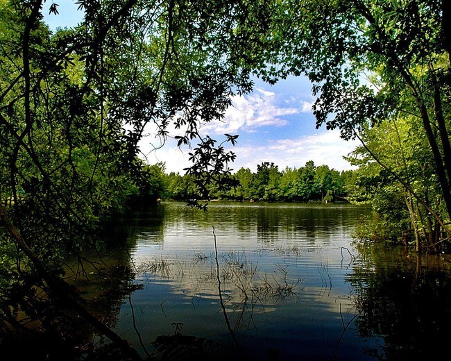 Pond