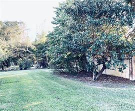 Photo - 3 br, 2 bath House - 6405 Lake Tern Ln