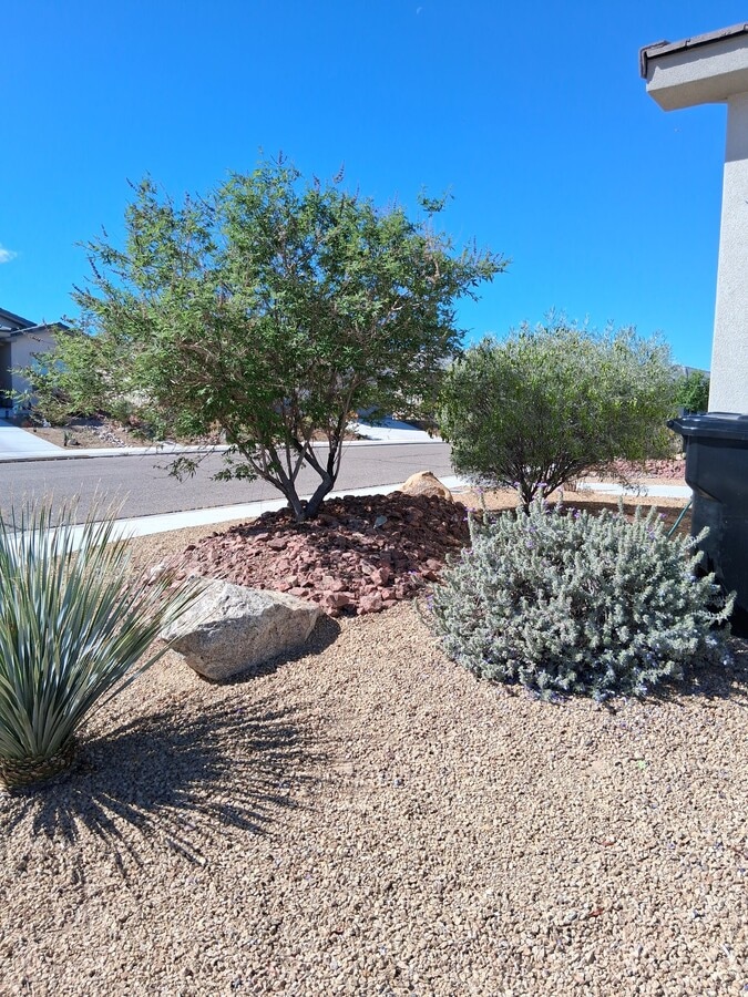 Photo - 571 E Colt Ln