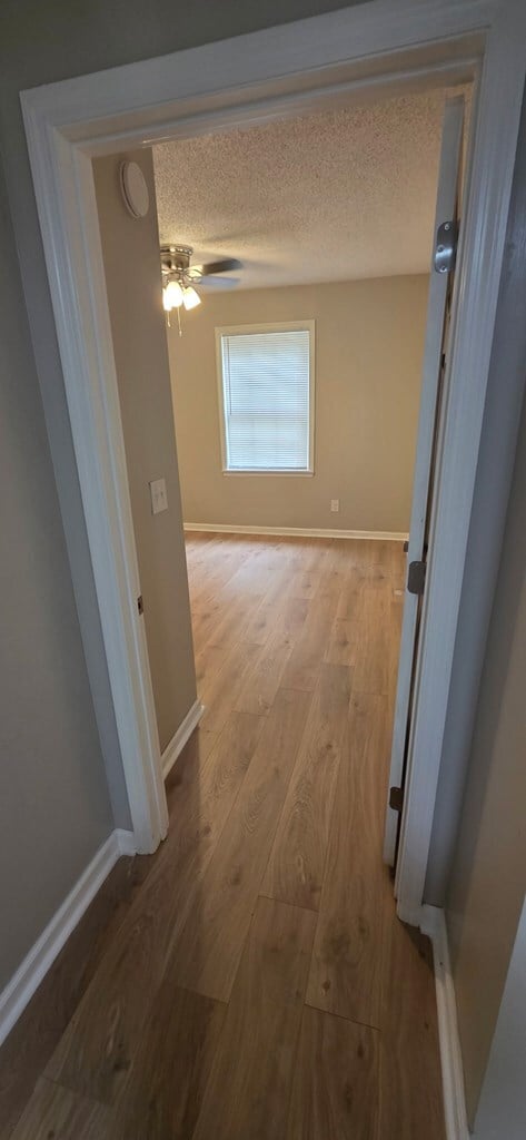 Photo - 105 Wilson St