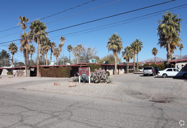Canyon Oasis - Canyon Oasis Apartments