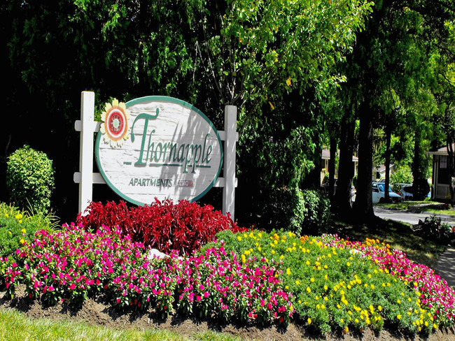 Thornapple Apartments - Thornapple Apartments