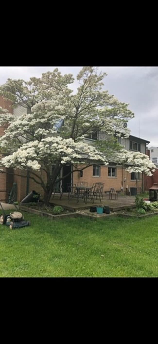 Photo - 16974 Sherborne Ave