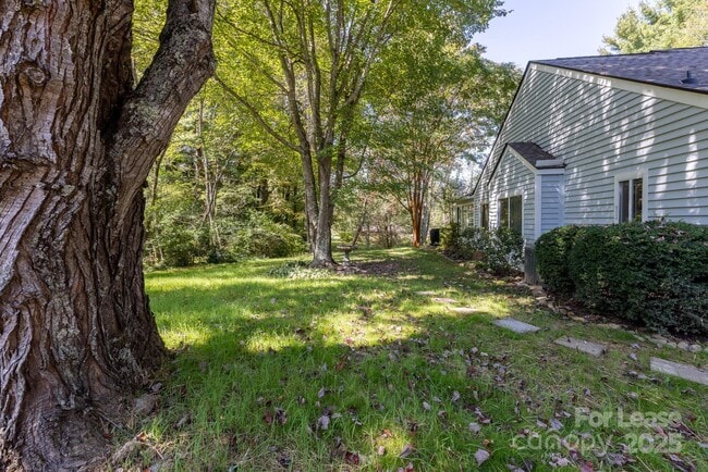 Photo - 104 Llama Wy