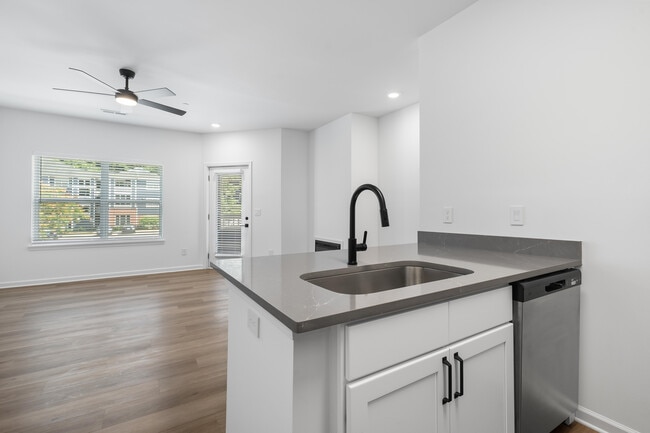 Avana Lexington
