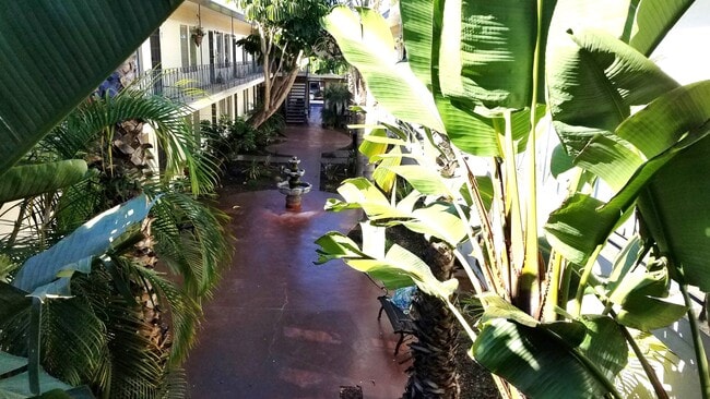 The Palms