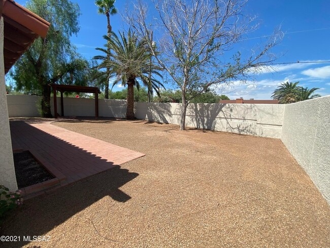 Photo - 3911 N Vine Tree Pl