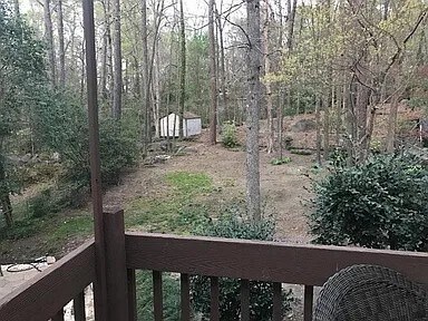 backyard - 108 Double Branch Court House