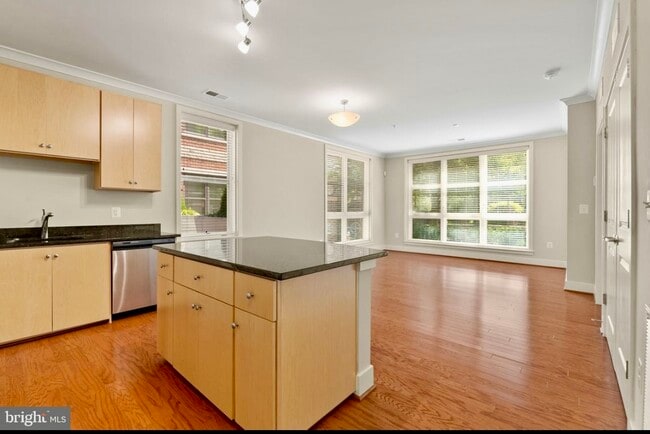 Kitchen island. Open concept - 815 N Patrick St Unit 108