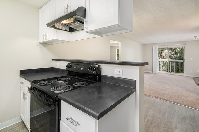 Photo - Village Fair