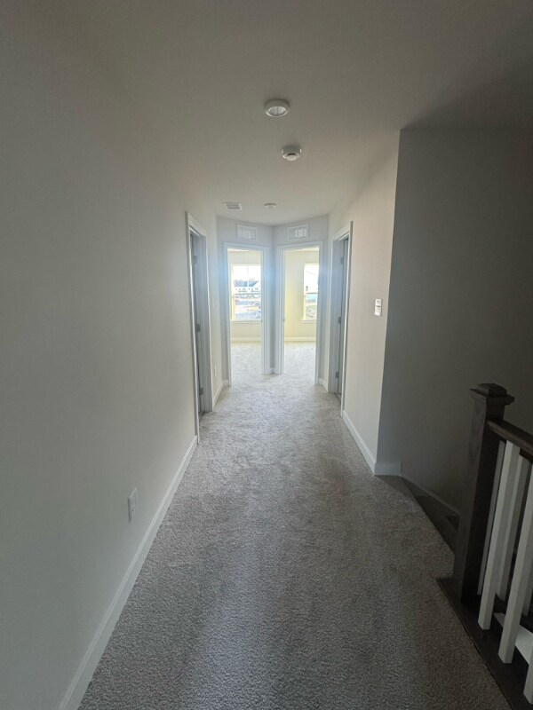 Photo - 68 Rosemary Wy