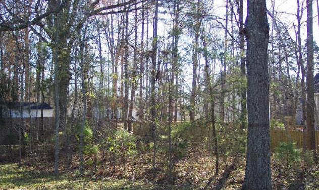Backyard - 3202 Pine Pointe St