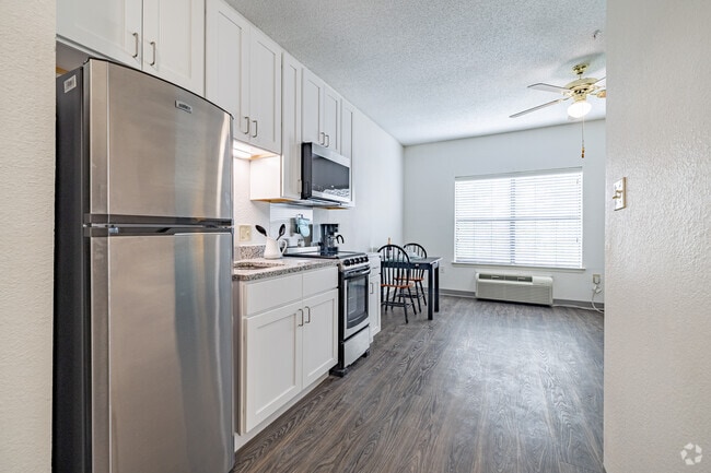 Studio - 300SF - Kitchen