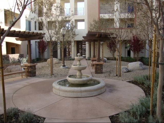 Palo Verde