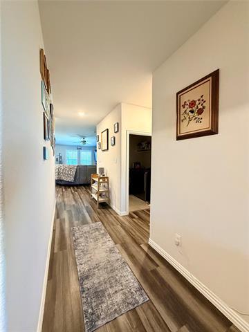 Photo - 6301 Spooky Cat Trl