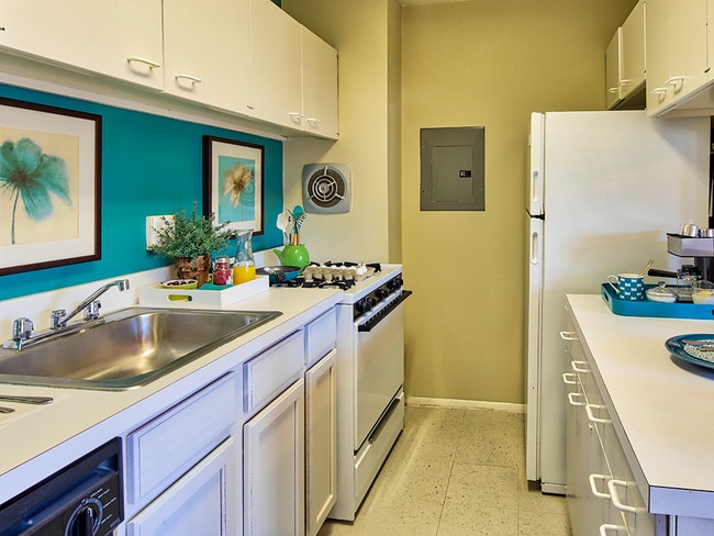Modern kitchen with dishwasher and disposal