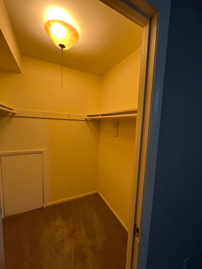 Walk-In Closet - 3304 Woodburn Village Dr Unit 22