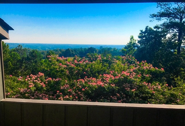 The City View from your Patio!