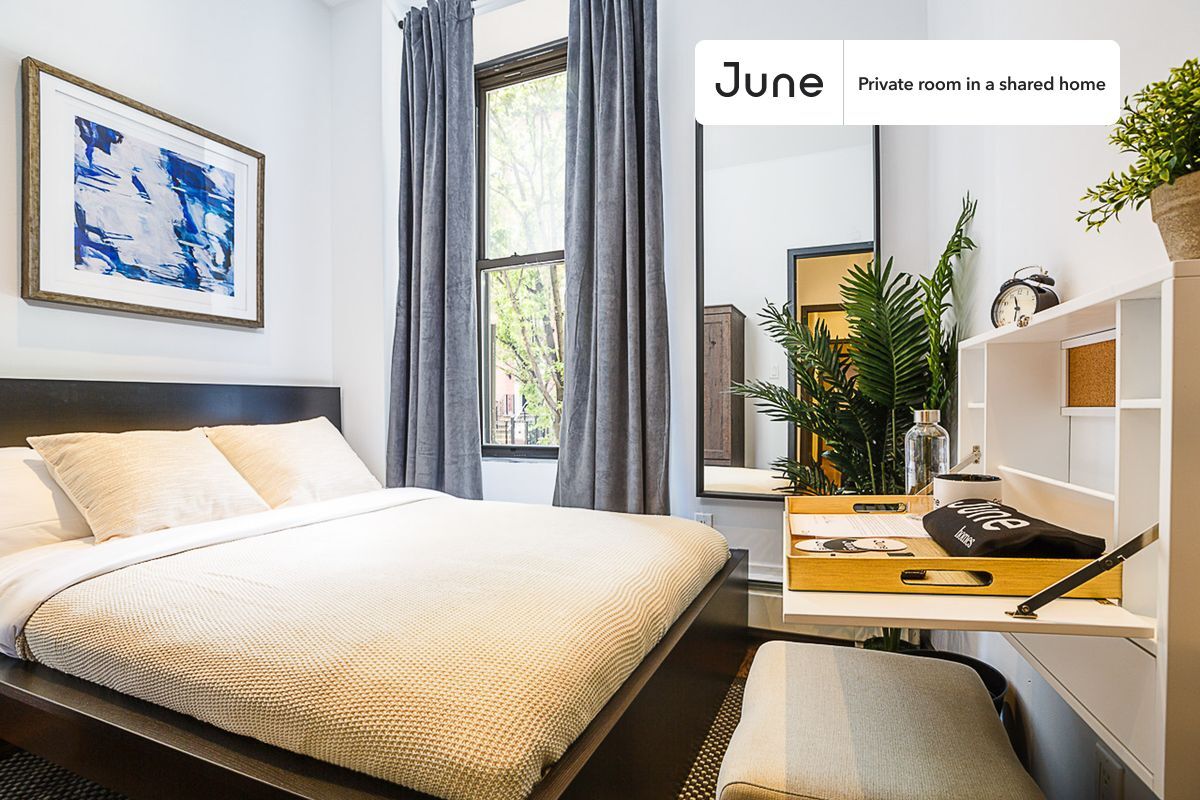 Private bedroom in 4 bed/2 bath Home - Private bedroom in 4 bed/2 bath Home