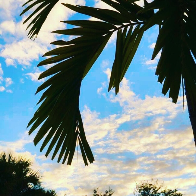 Building Photo - 6078 Dusenburg Rd