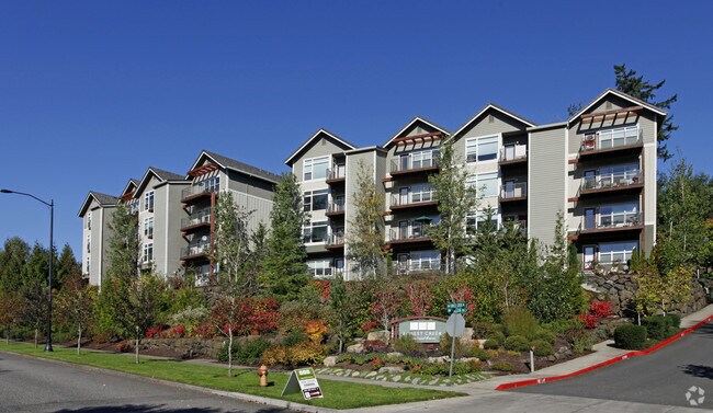 Building Photo - Sofi At Forest Heights