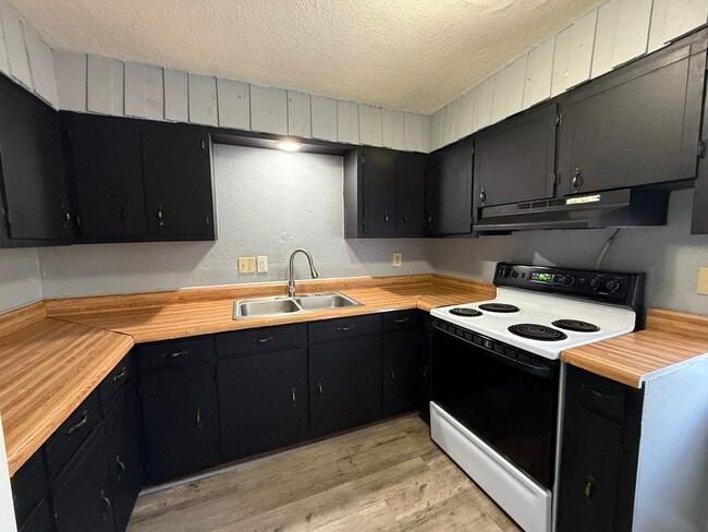 Photo - 2 Bedrooms, 1 Bathroom Home in Paragould A...